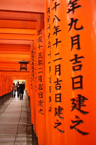 Red gates on the hill of Fushimi Inari Shrine