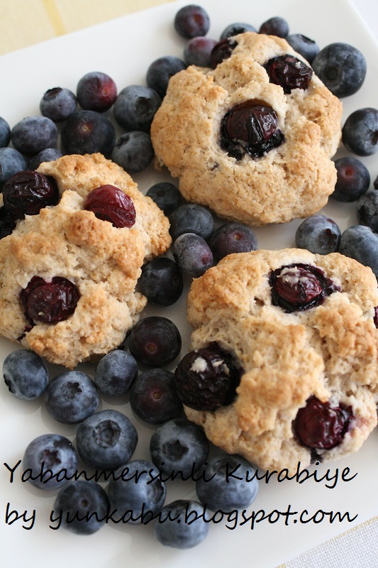 Fourth of July Blueberry Softbakes