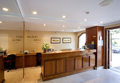 Recepcion Hotel Palacio Arias
