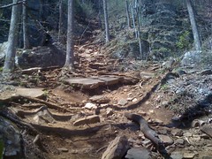  Raven Cliffs Falls Trail 4