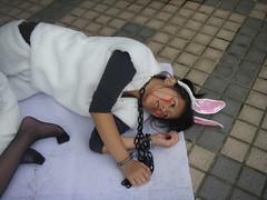 台大「動物權利發展社」眼睛流血的兔子@台大杜鵑花節