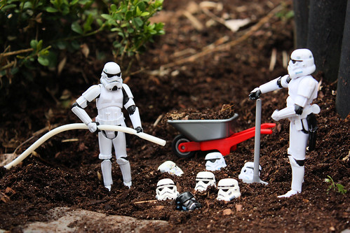 Organic Troopers Crops