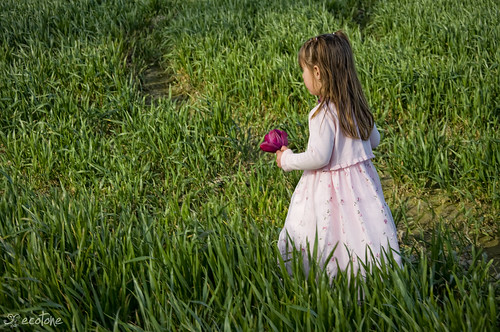 little girl with tulip