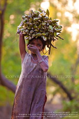 Simple pleasures of life..........04 [Nijhum Dwip, Hatia, Noakhali, Bangladesh] (by Ideas_R_Bulletproof)