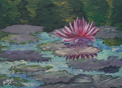 Waterlily #7