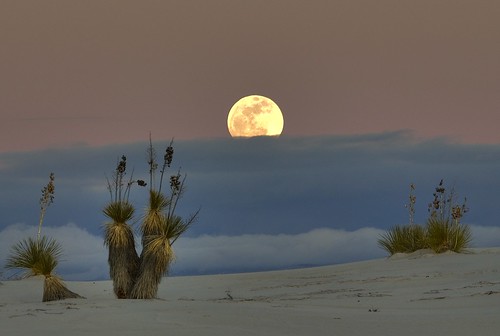 フリー写真素材|自然・風景|月|雲|砂漠|アメリカ合衆国|