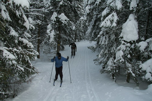 Cross-country skiing: national