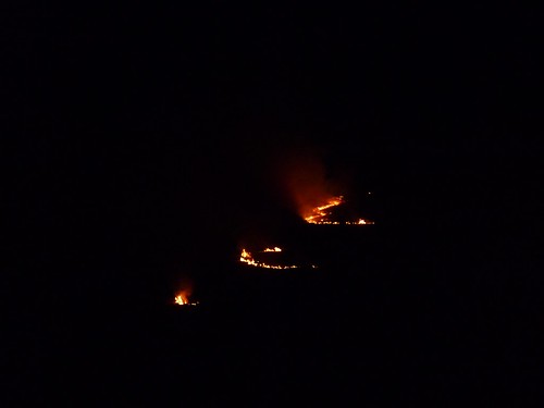 P1040115 - Grass fire at Llangennith, Gower