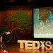 TEDxSeeds_KoukaiOTH_0410