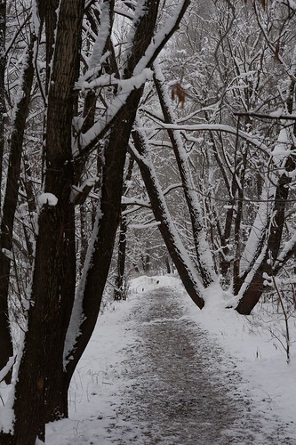 Winter Track ©  Harry Popoff