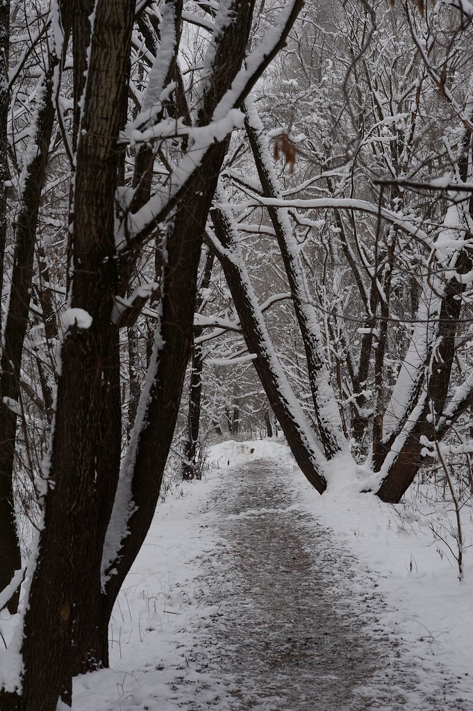 : Winter Track