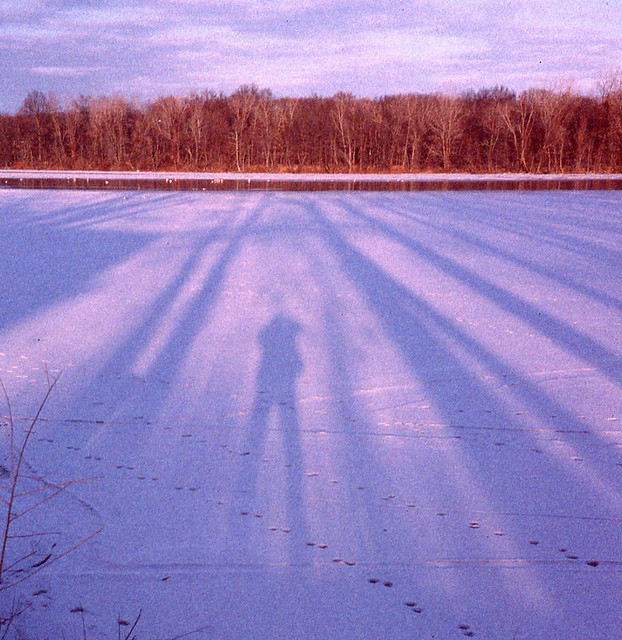 Woodland Lake - Winter 2010