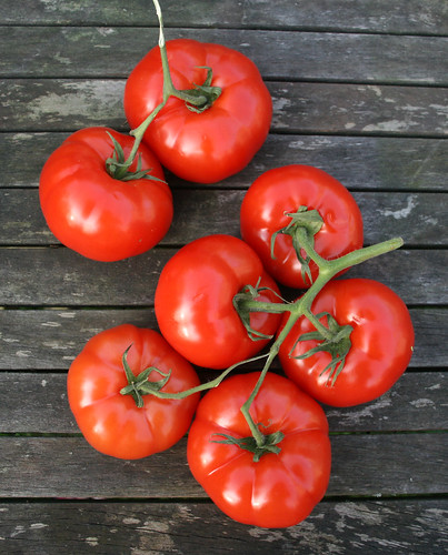 Beef Tomatoes 1