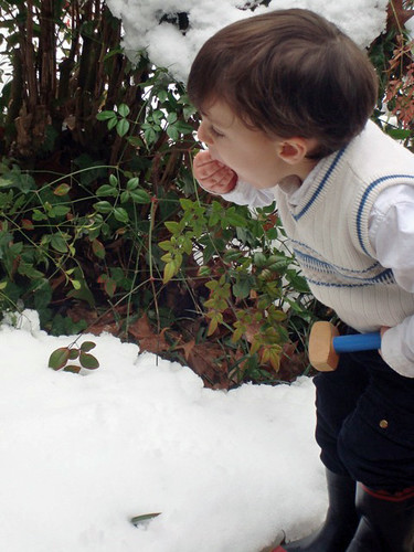 Levi Eating Snow-Photo by Martha