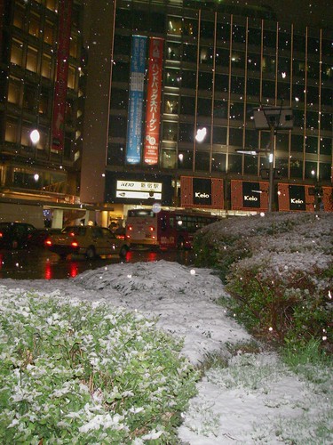 snow in Shinjyuku WEST