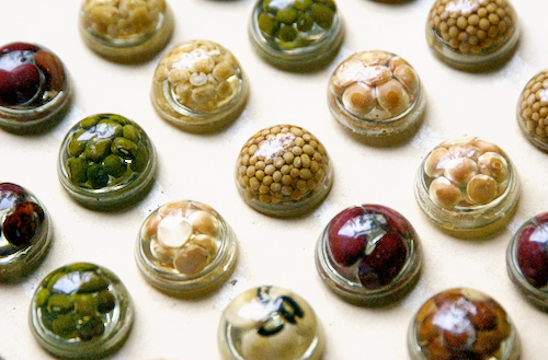 vinatage seed and bean resin buttons
