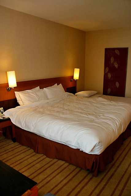 Deluxe King Room is more than comfy too