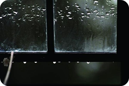 window-and-raindrops-steve-somerville