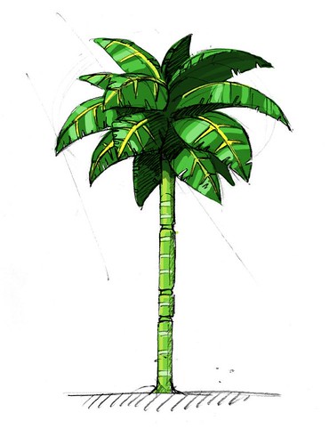 Needlemouse - Palm Tree