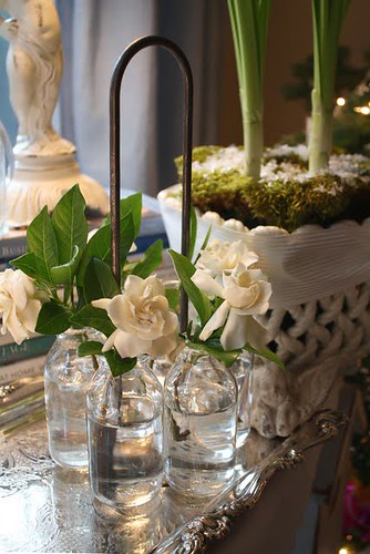 December Gardenias por Romantic Home.