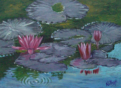 Waterlily #12