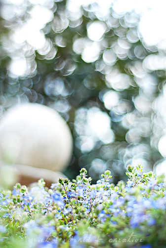 first day of spring: can i marry this bokeh?