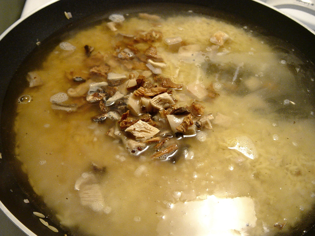 Creamy Orzo with Dried Mushrooms