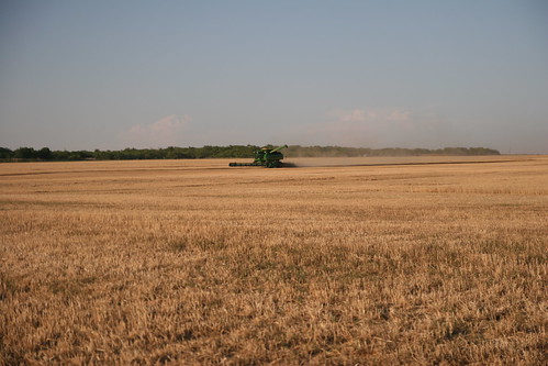 A lone combine gets full at the end of the field and prepares to dump.