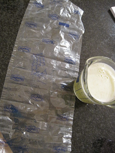 Ice Cube Bag & Freshly Squeezed Lime Juice