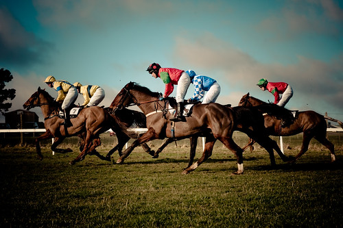  フリー写真素材, 運動・スポーツ, 競馬, 馬・ウマ, イングランド, イギリス,  