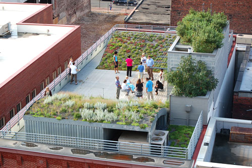 ASLA's green roof from above (by: ASLA)