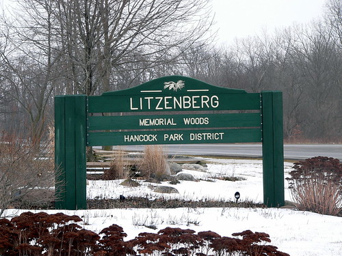 Litzenberg Memorial Woods