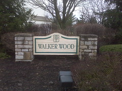 walker wood