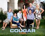 Cougar Town 2.sezon 8.bölüm