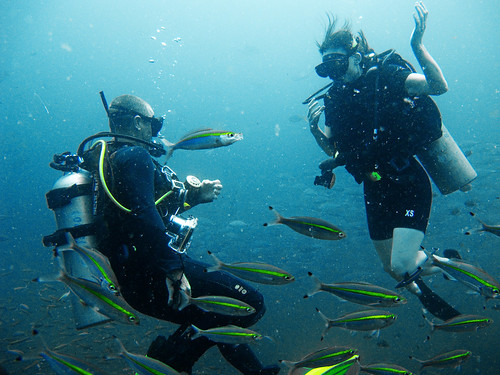 Underwater Gulf of Thailand - Sail Rock 02