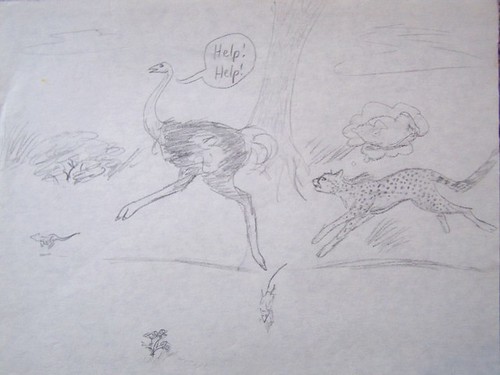 3rd grade 03 Cheetah chasing ostrich