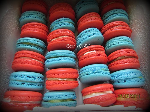 macarons blue & red
