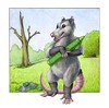 Creative Opossum