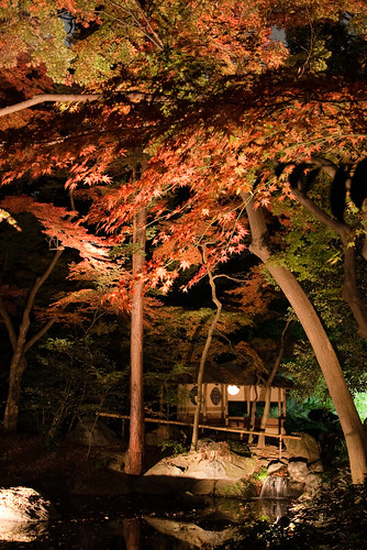 Rokugien Autumn Lightup-20