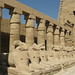 Temple of Karnak , criosphinxes in First Court (2) by Prof. Mortel