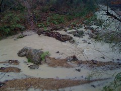  Rough Creek Crossing