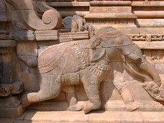 An elephant in Darasuram
