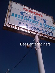 Bee Hive in Sign with annotation