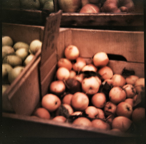 fruit at the union square farmer's market.