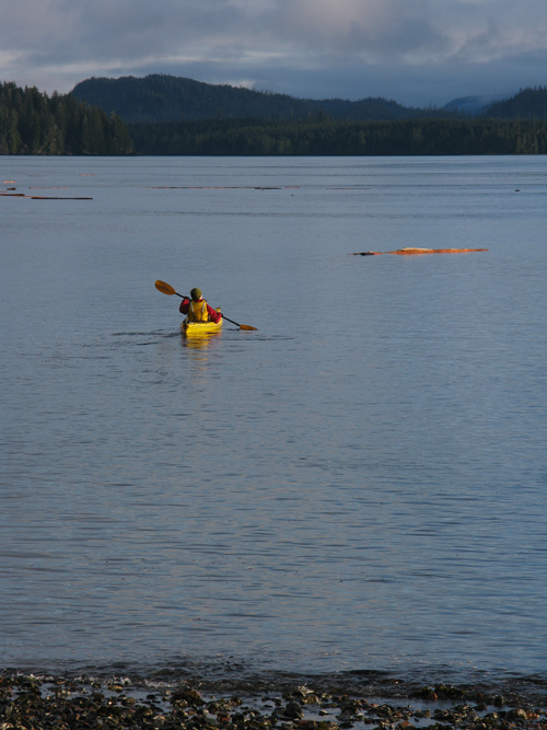 a yellow canoe and logs in Kasaan Bay, Alaska