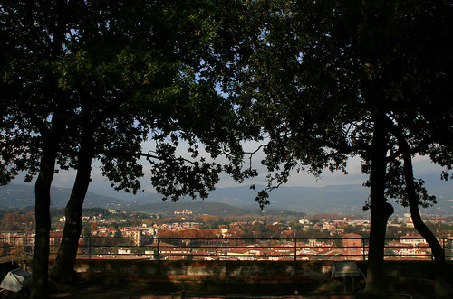 Vista panoramica dalla Torre Guinigi