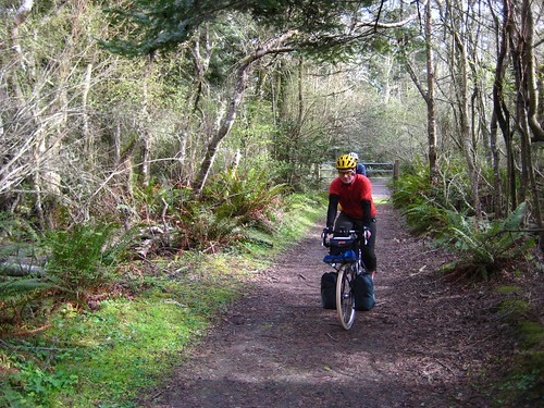 A trail between Fort Casey and Fort Ebey.  Photo by Andre.