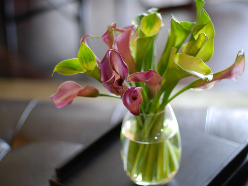 calla lilies arrangement