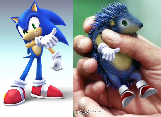 sonic real