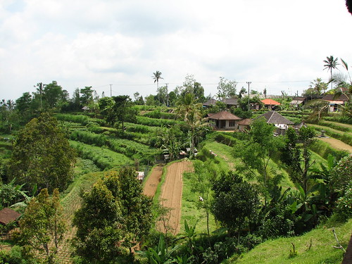 Lunch at Rice terrace, Pacung, Bali